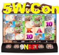 9Nbet Com